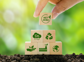 achieving-net-zero-research-series